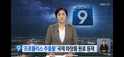 서울프로폴리스, KBS뉴스 방영 \\\'연구소기업 ‘프로폴리스 추출물’ 국제 화장품 원...